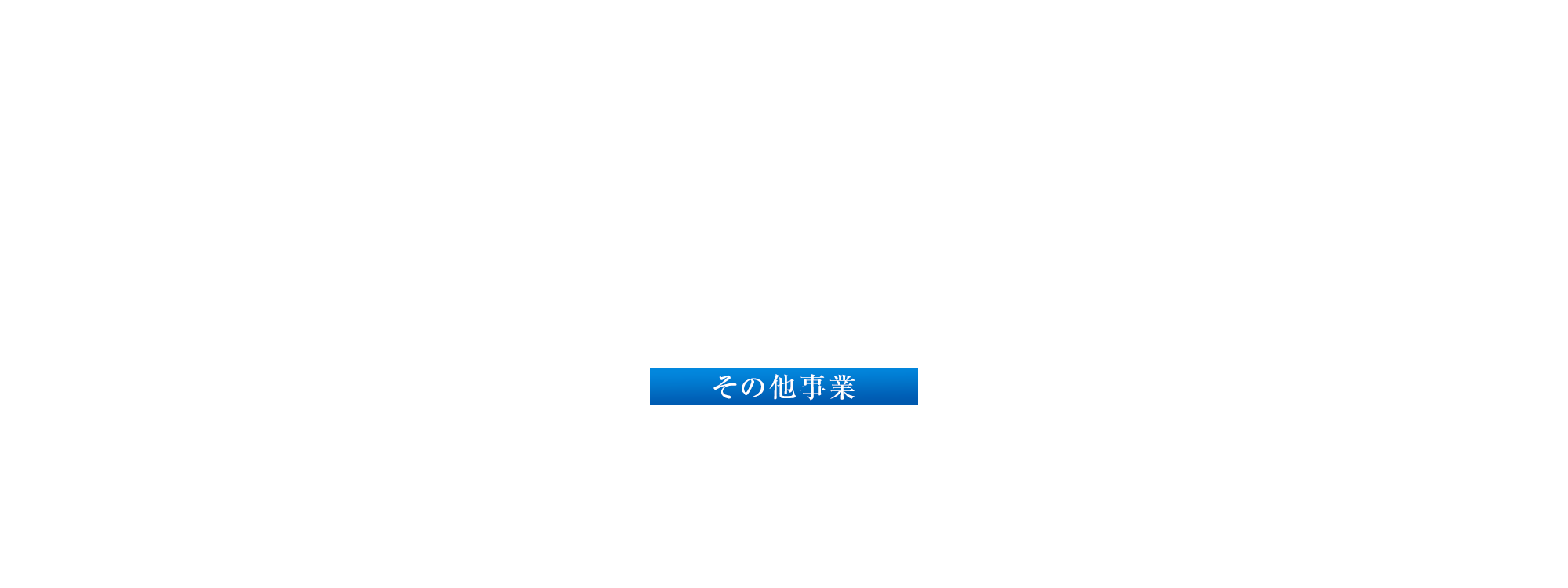 その他事業